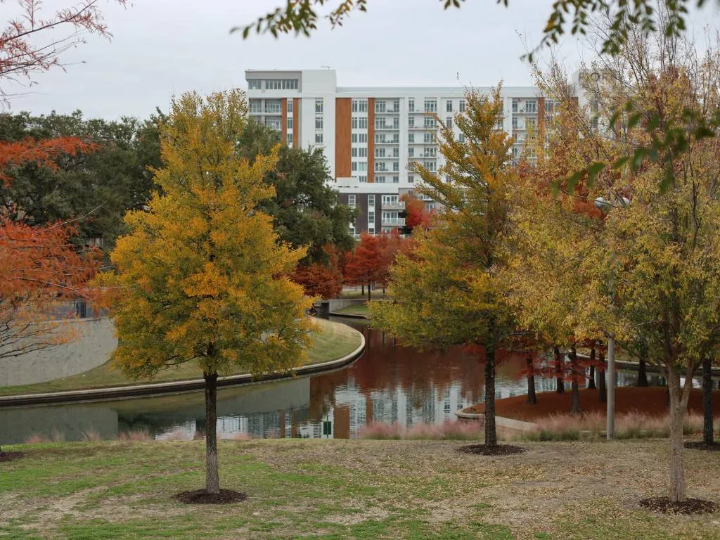 Addison window replacement